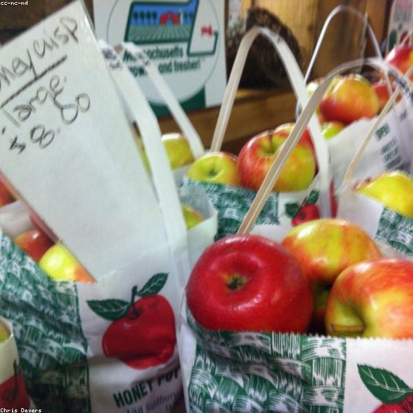 Honeycrisp Apples (3lb bag)