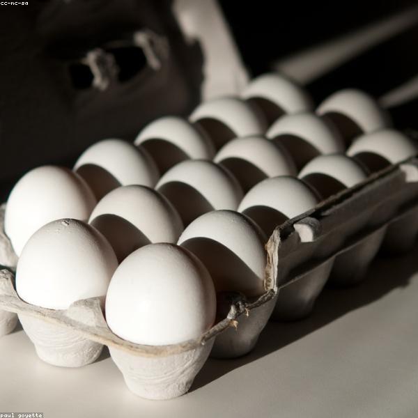 Pastured Eggs (Dozen)