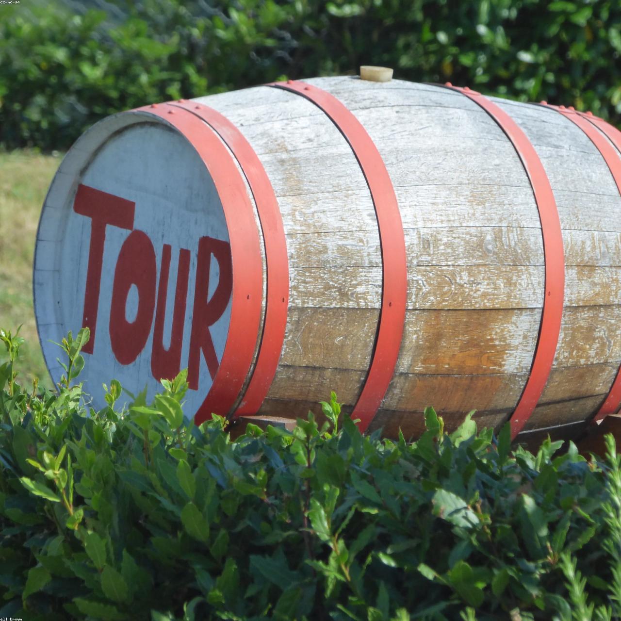 Tuscan Vineyard Tour